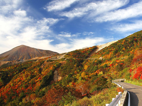 Tengu no Niwa (autumn leaves)
