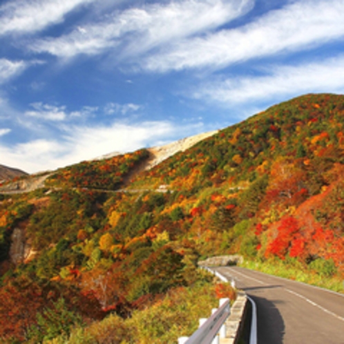 磐梯吾妻スカイラインの紅葉。例年では10月中旬〜11月下旬が見ごろです。（冬季閉鎖）