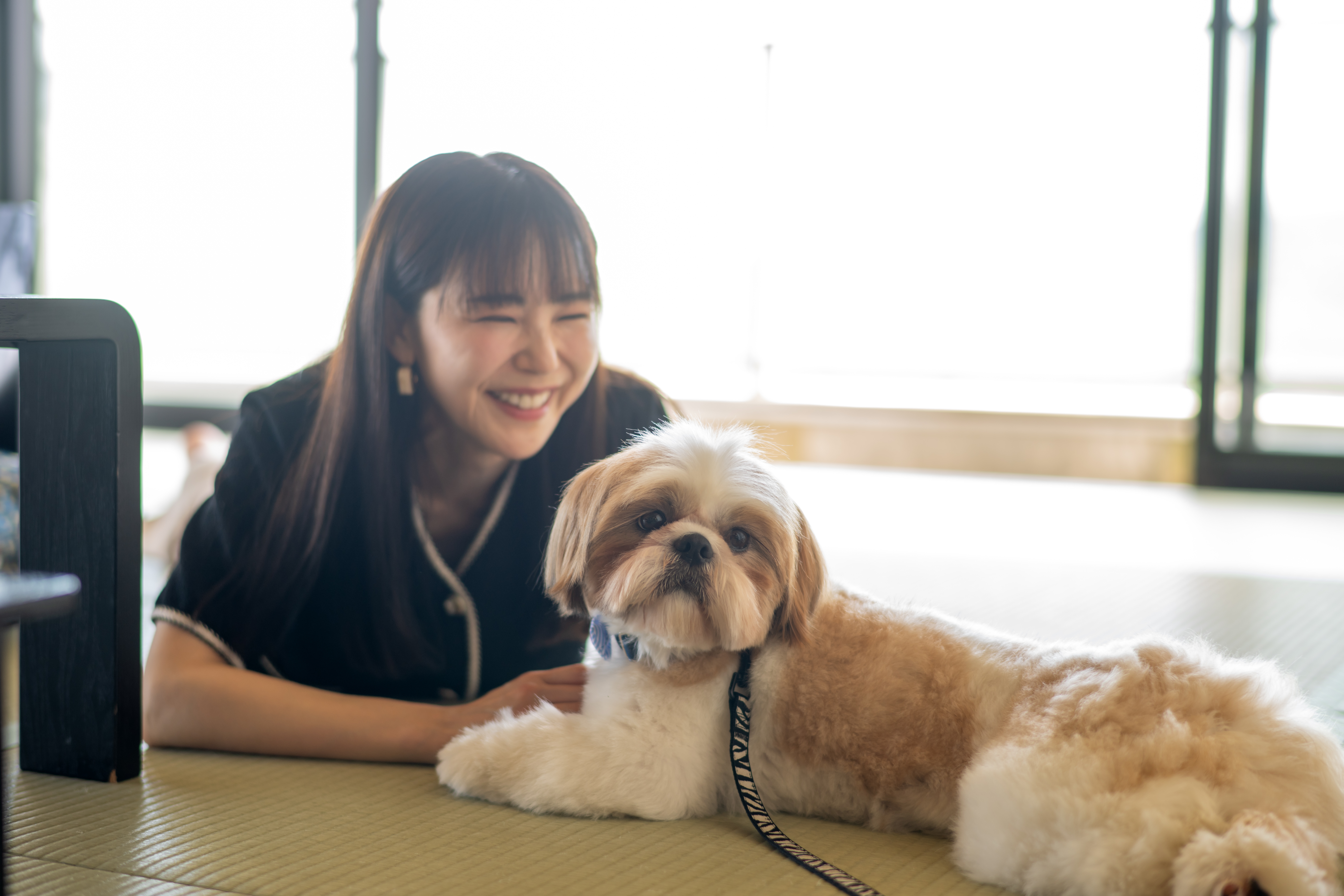 わんちゃんと過ごせる客室