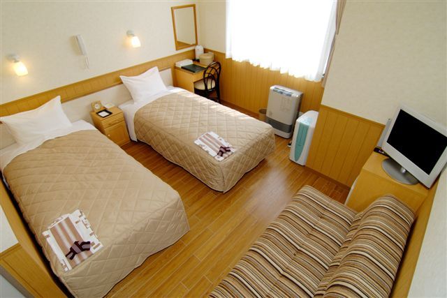 Triple room (* Sofa bed for 3 people)