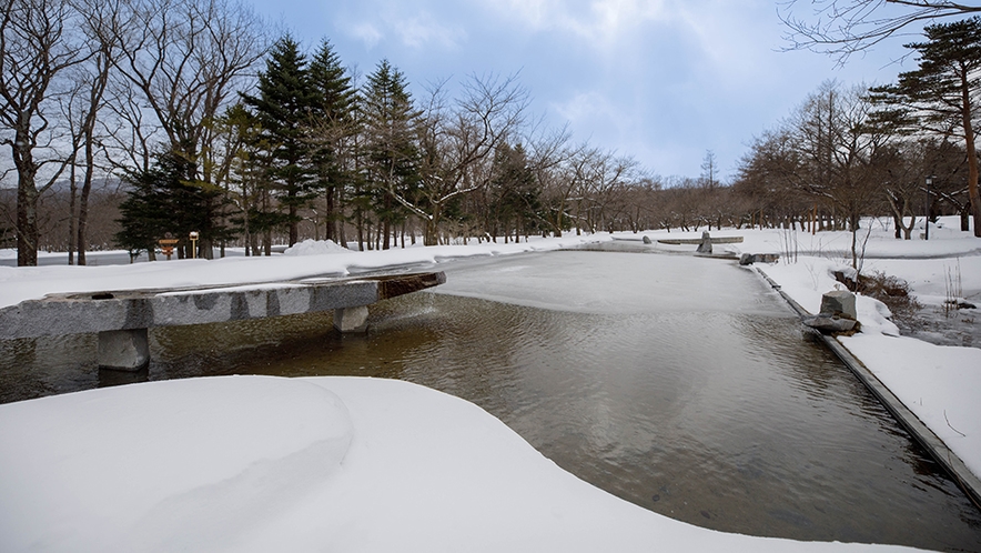 雪のNIWAの水盤