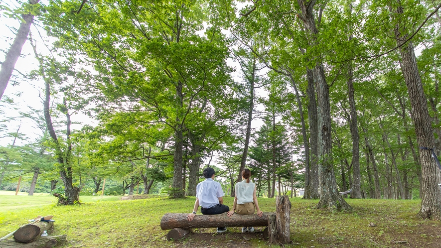 木もれびが心地よい森でおさんぽ