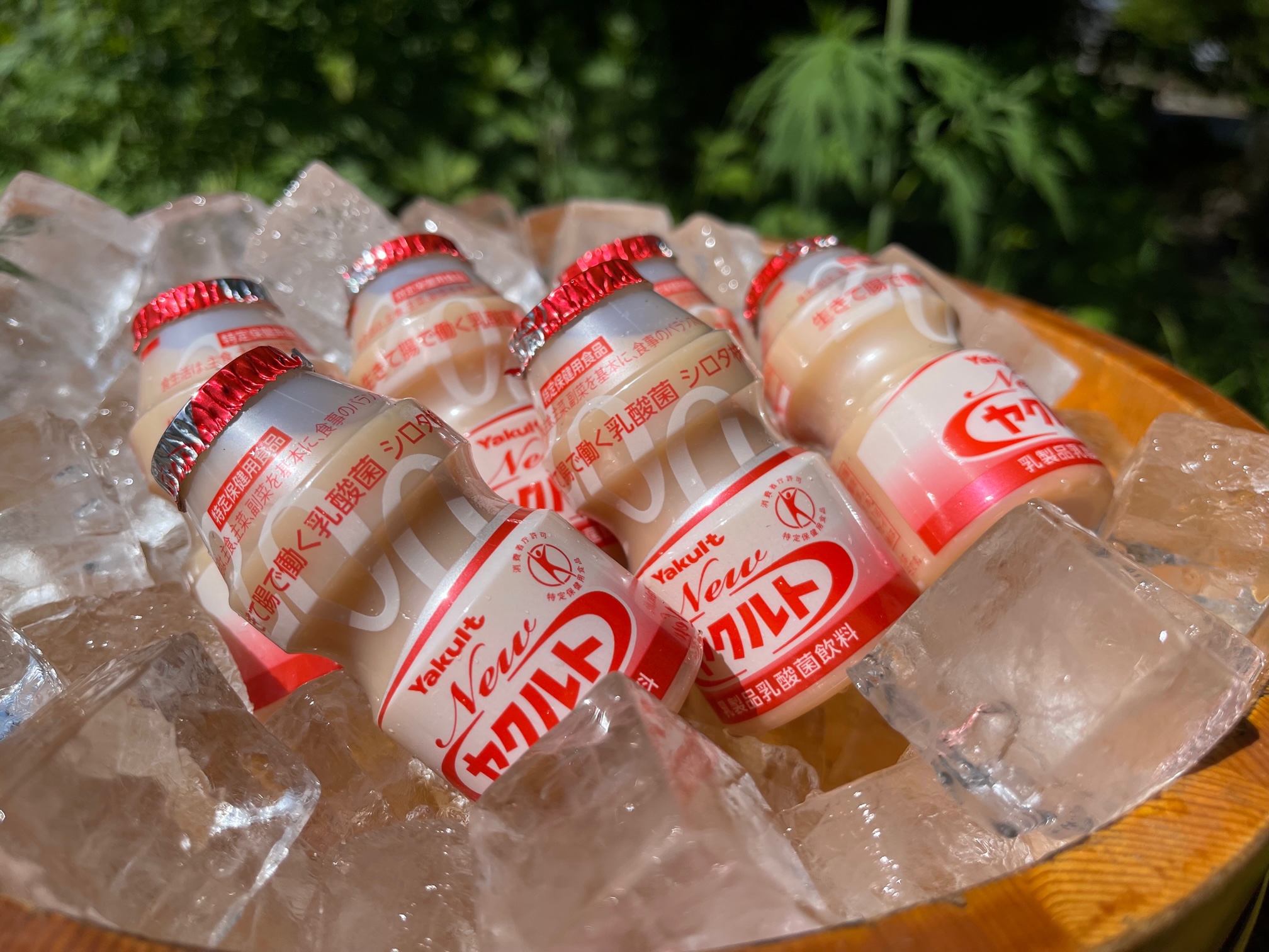 【無料サービス】乳酸菌飲料