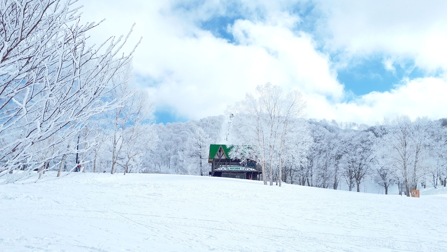 ・野沢温泉スキー場でスキー＆スノボをお楽しみください