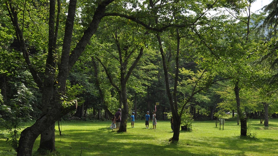 【庭園　夏】