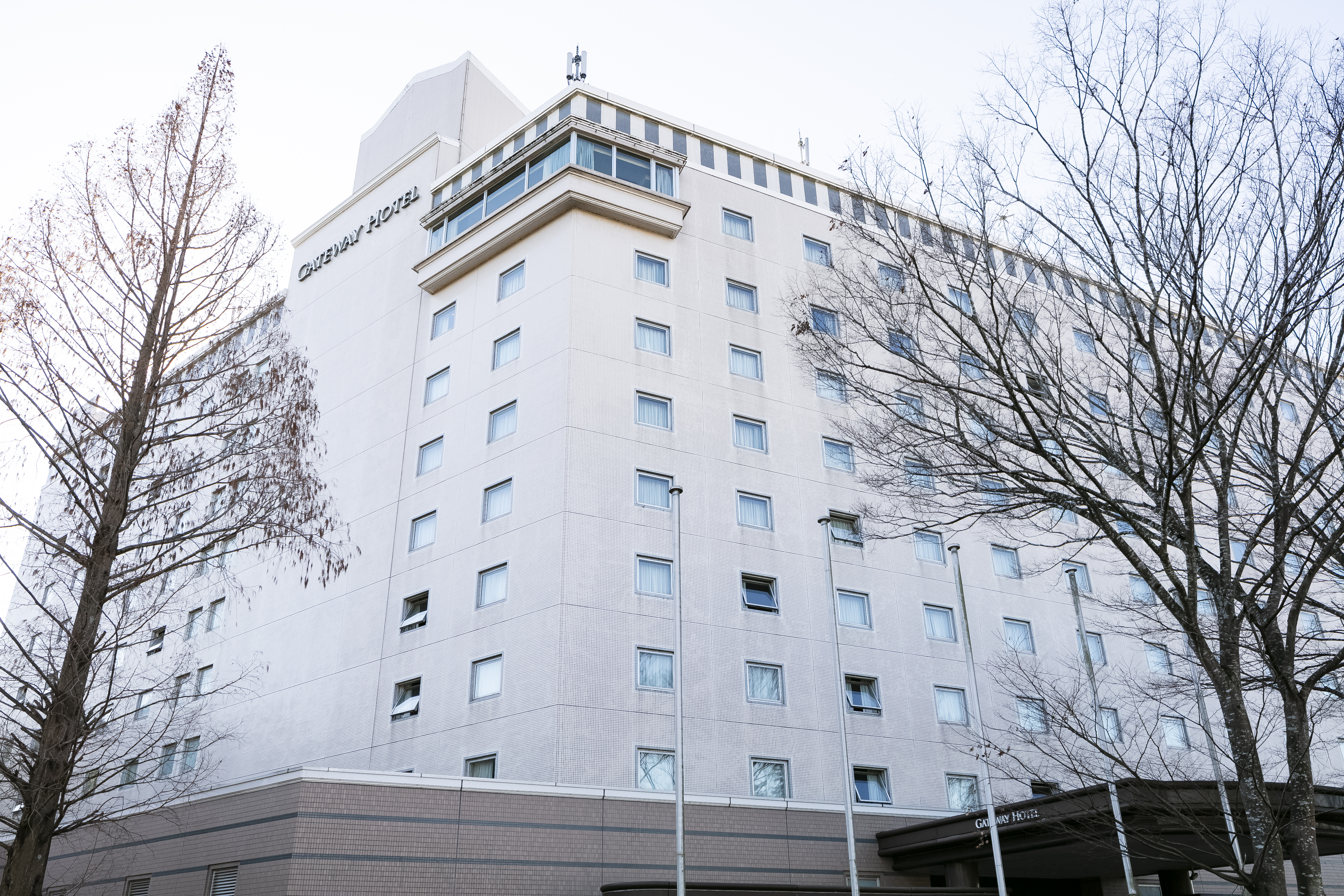 2025年撮影　最新