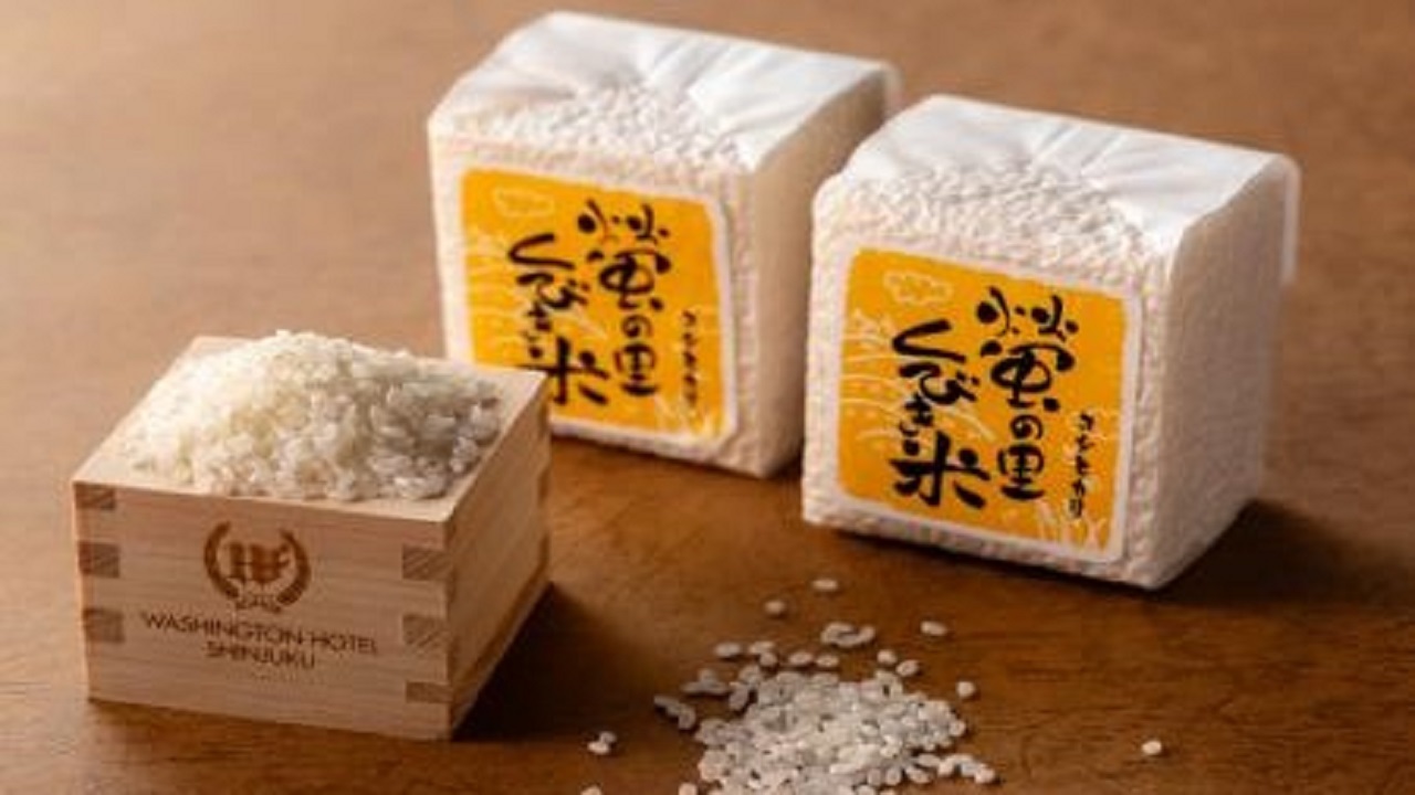 農業応援CO2ゼロSTAY(R)プラン≪素泊り≫