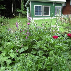 【ガーデン】初夏のガーデン♪