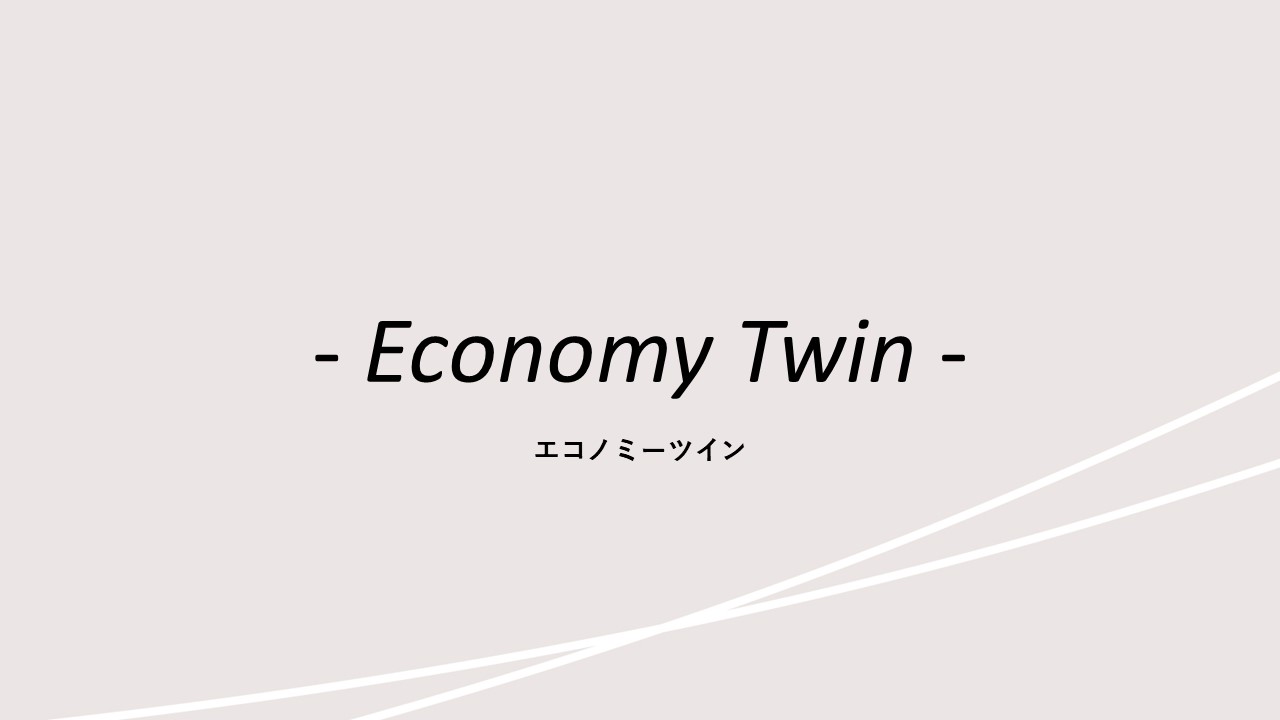 客室紹介(エコノミーツイン)