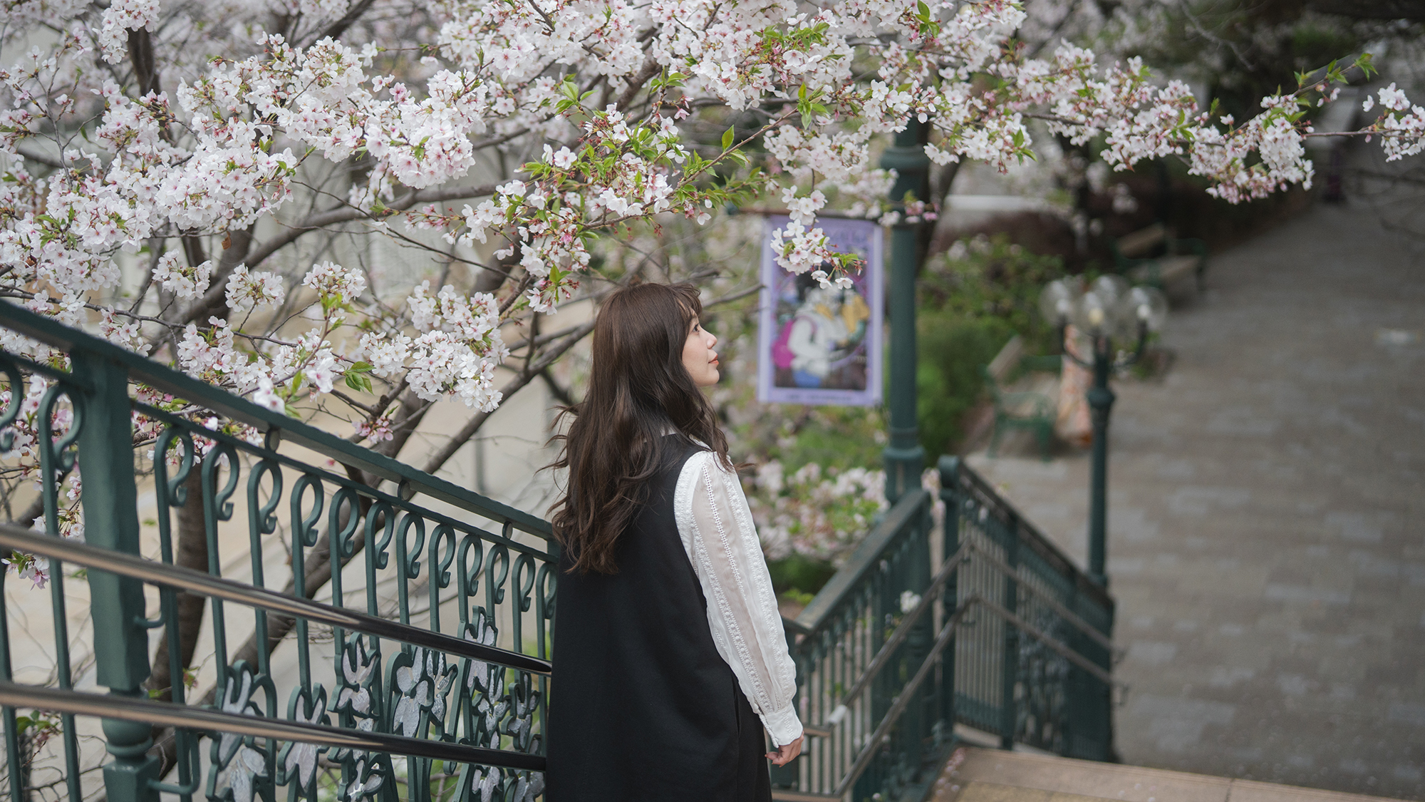 【花のみち】駅から大劇場までの道のりを、色とりどりの花々が繋ぎます。