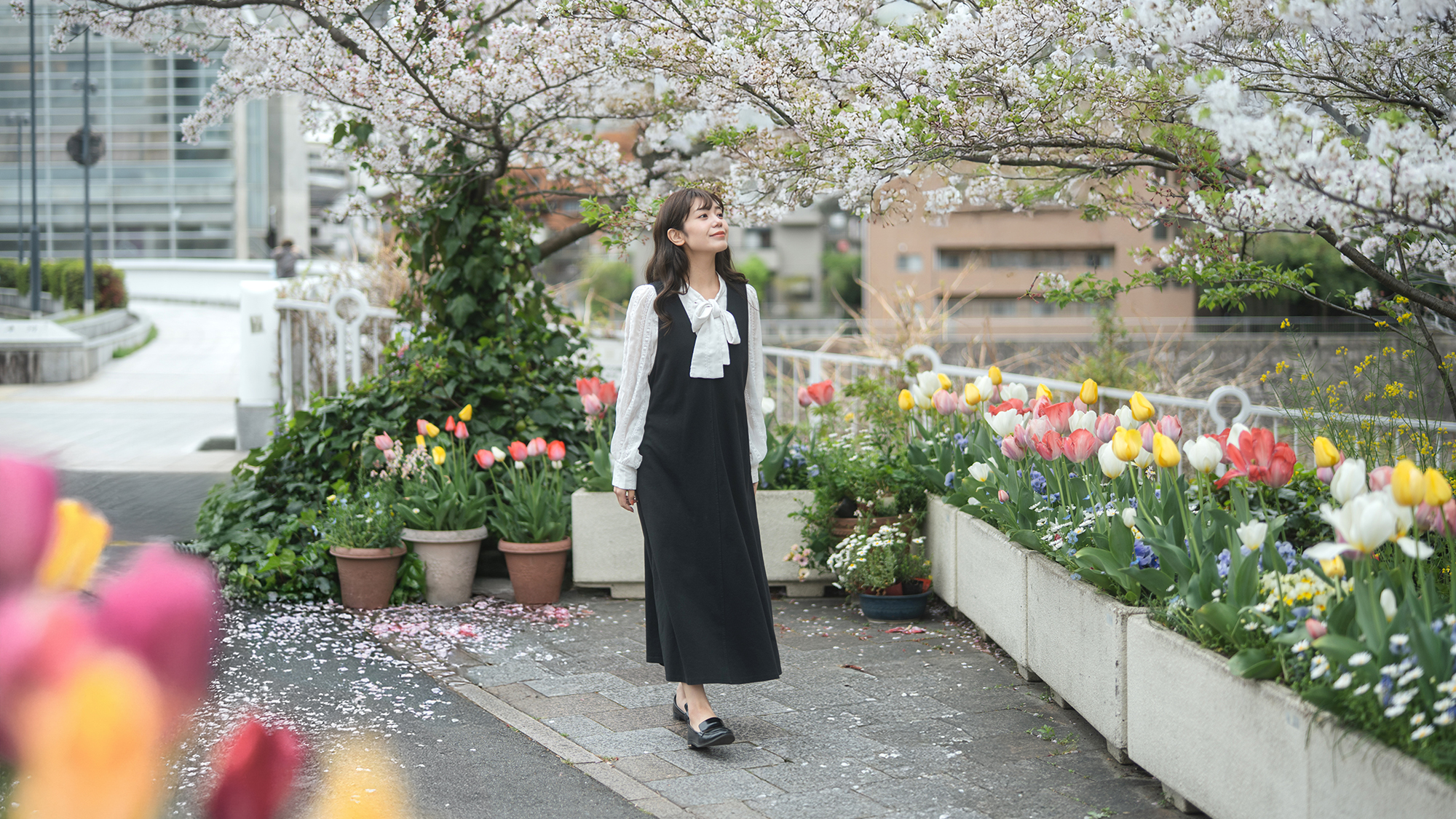 春の当館は、桜をはじめ彩り豊かな花々がお迎え。カラフルに、心躍る旅のひとときを。