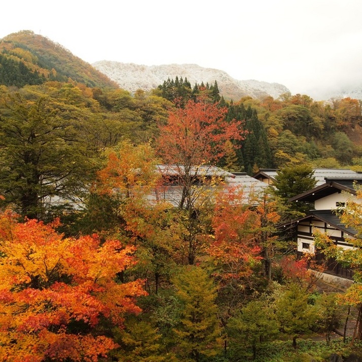 【9月10月敬老プラン】★65歳以上の方とご一緒に！平日・3名様以上同室がお得!