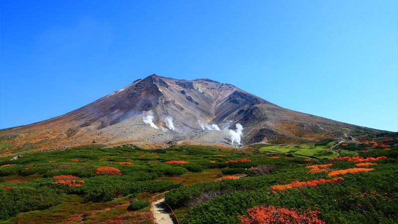 旭岳◆日本一早いと言われている秋の紅葉。一度は目にして頂きたい景色です。
