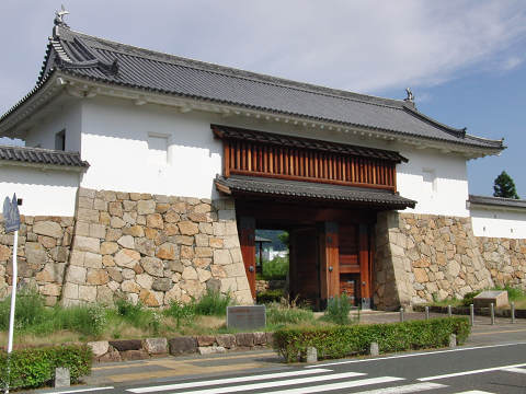 写真1