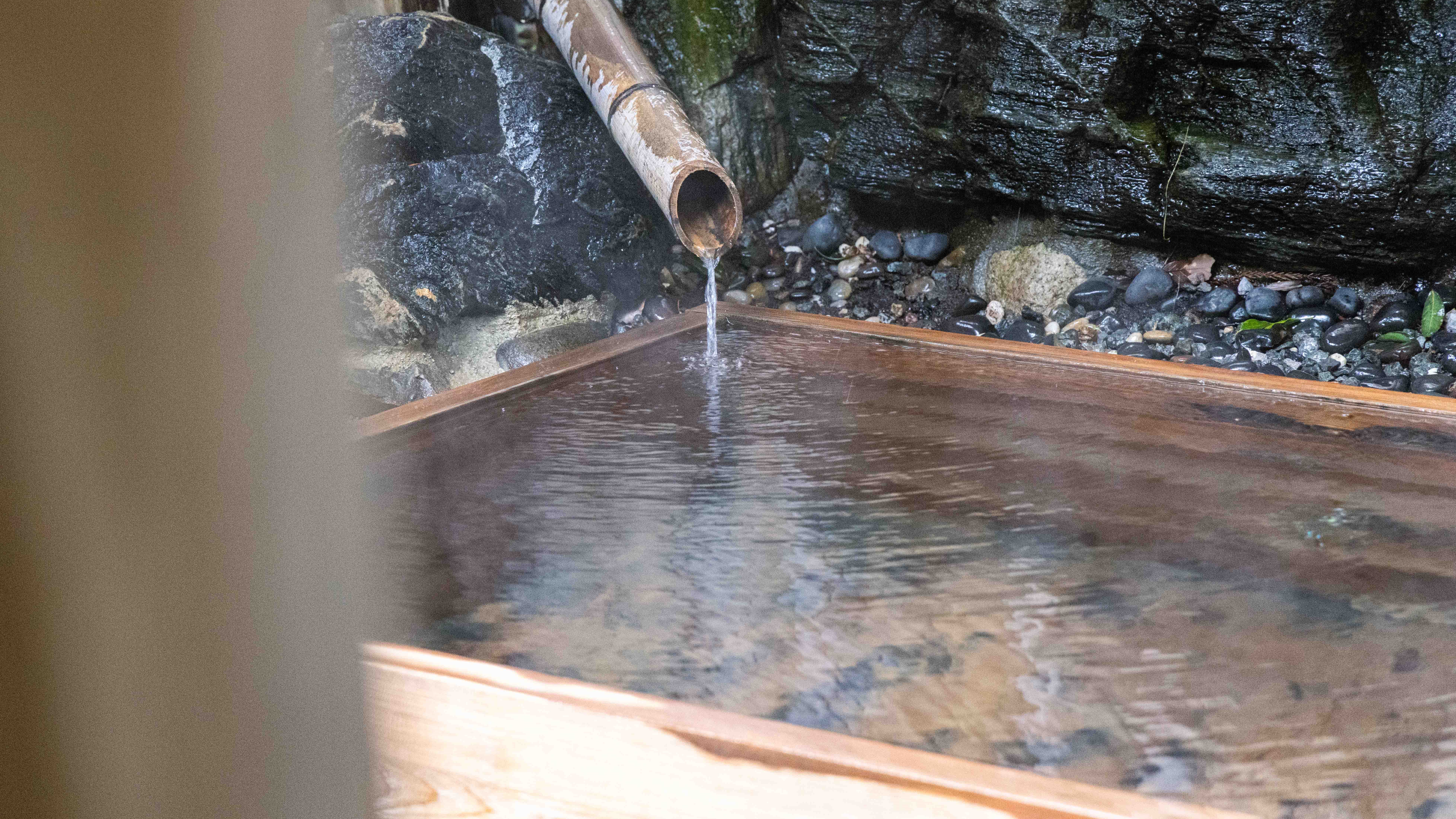 貸切風呂「森の方舟」