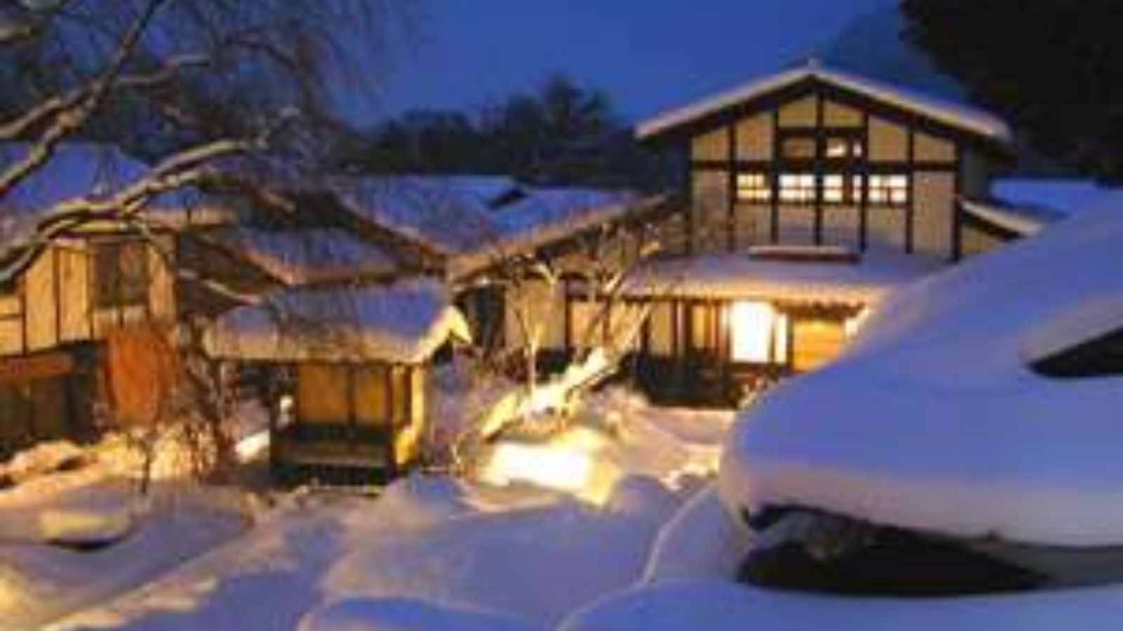 灯色の灯りに照らされた夜の雪景色。庭中央にある木は樹齢30年の大きなしだれ桜。