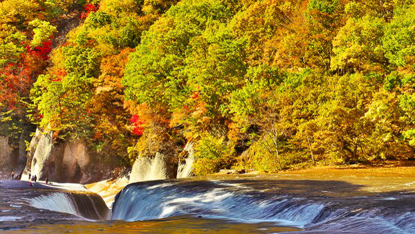 【みんなでワイワイ】ファミリーやグループで玉原を目一杯楽しもう！【2食付/禁煙部屋確約】