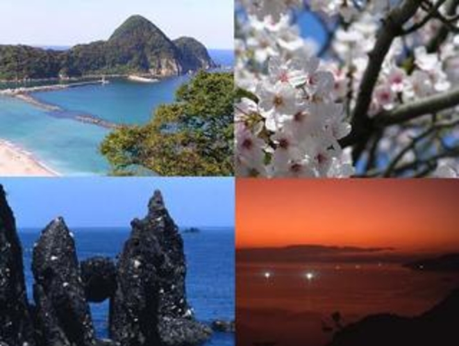 ★春本番 絶景 たけの海岸！！