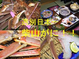 ◆◇冬の味覚 最高峰 柴山がに◆◇