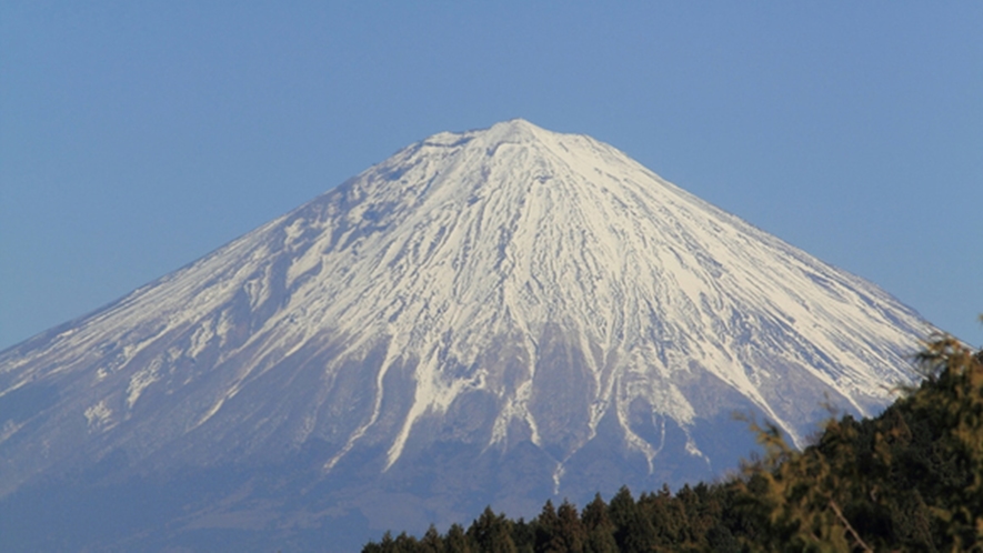 *コースから眺める富士山/雄大な富士山が眼前に迫ります。