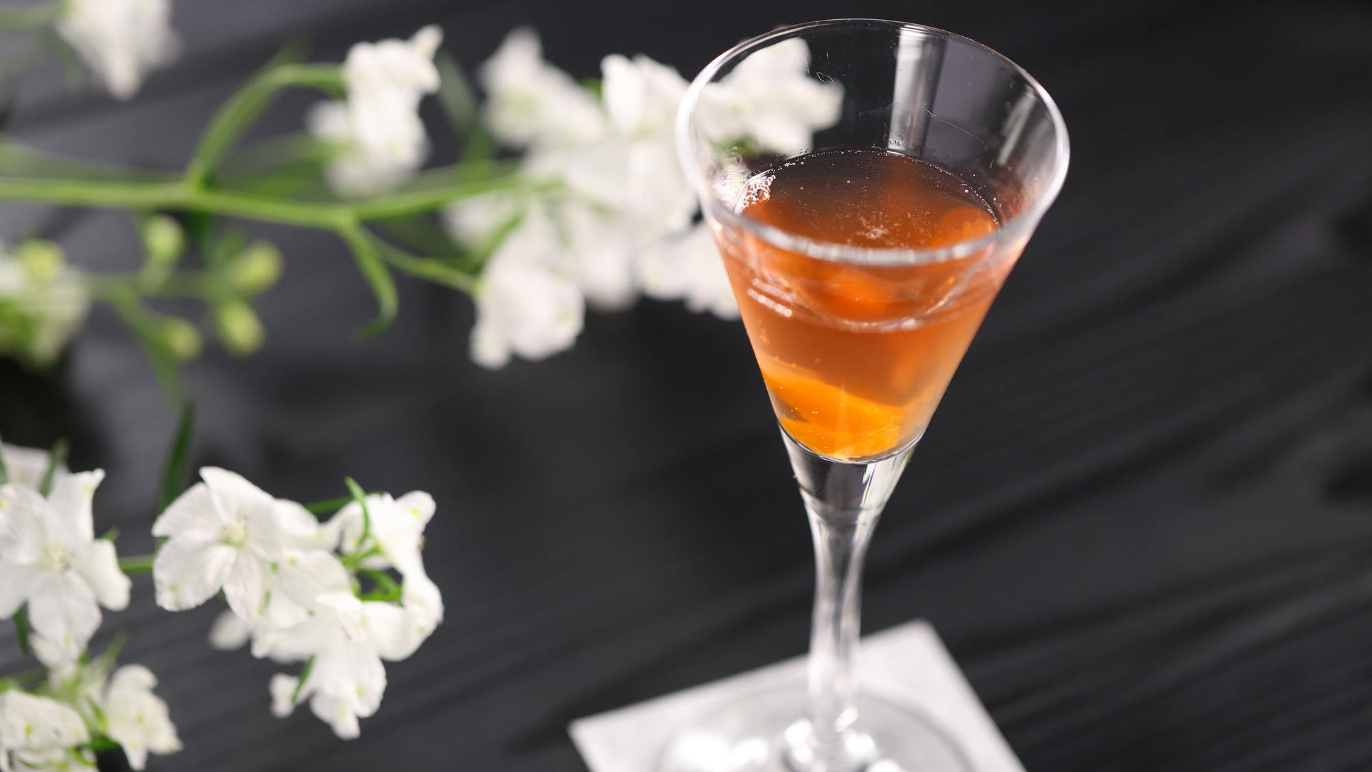 【2025冬】食前酒／寒椿