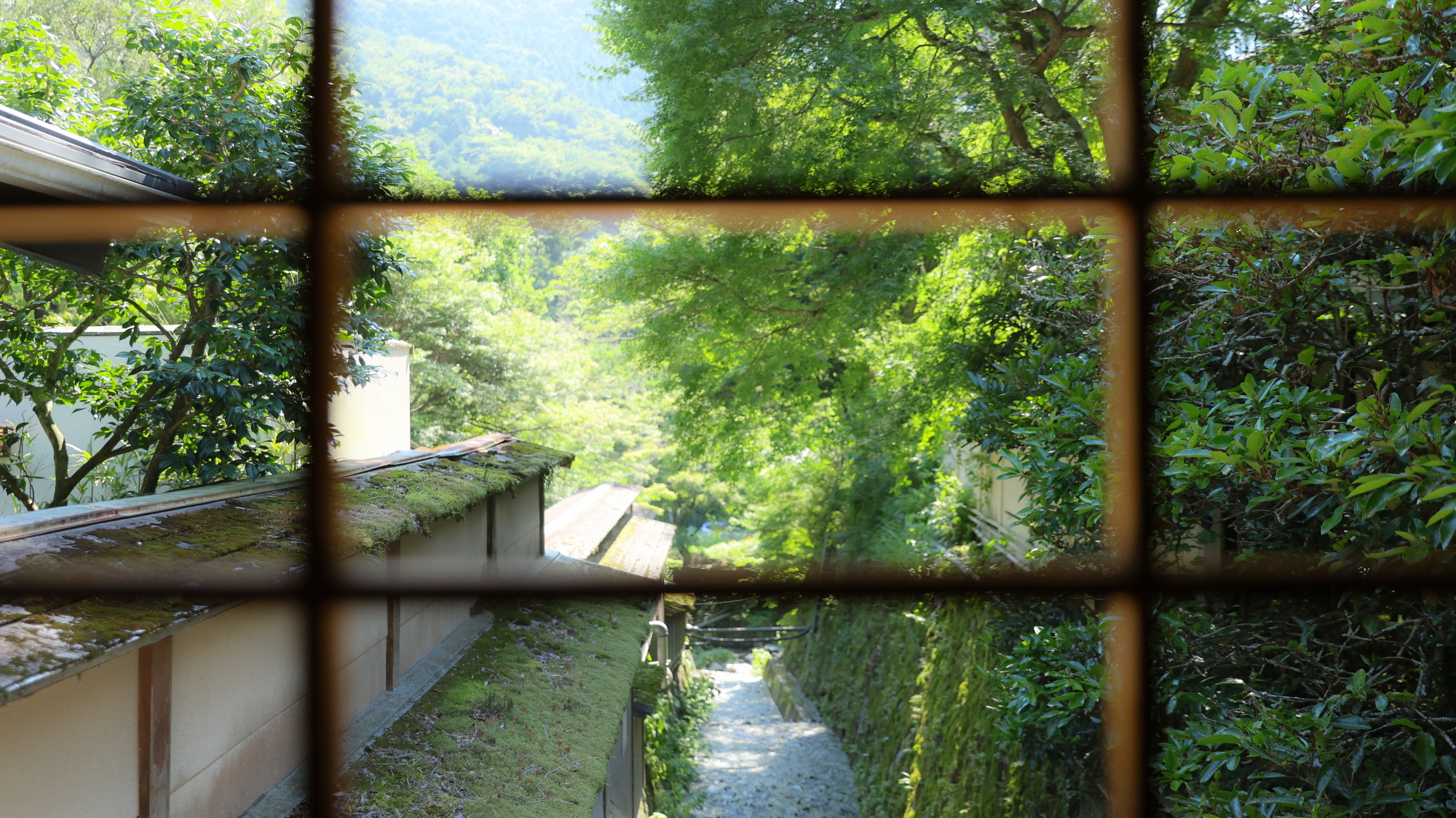 館内より散策路を眺める