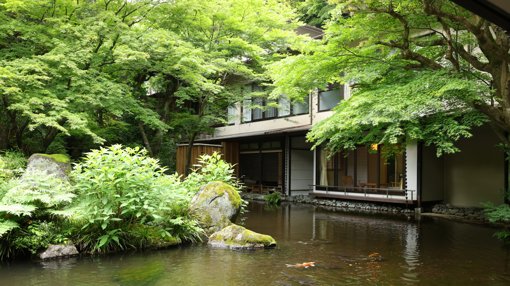 海石榴 つばき(眺望・庭園)