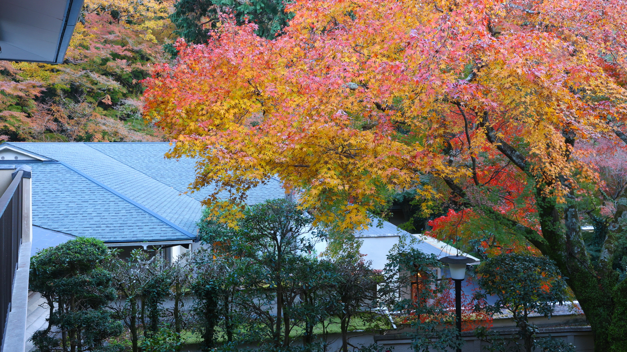 周辺散策しながら紅葉を楽しむのも秋ならでは
