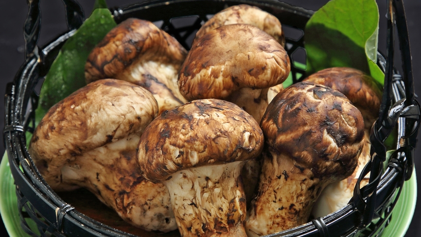 【秋限定】松茸入り神戸牛雲海鍋×松茸土瓶蒸し・焼き松茸・松茸ご飯など旬の味覚が味わえる松茸懐石コース
