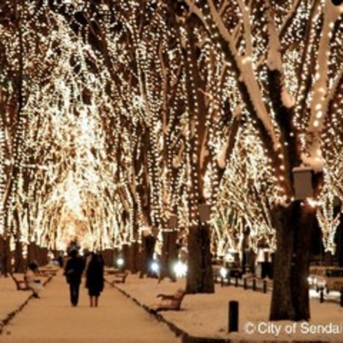 ◆冬◆SENDAI光のページェント☆定禅寺通りが温かい光に包まれます！