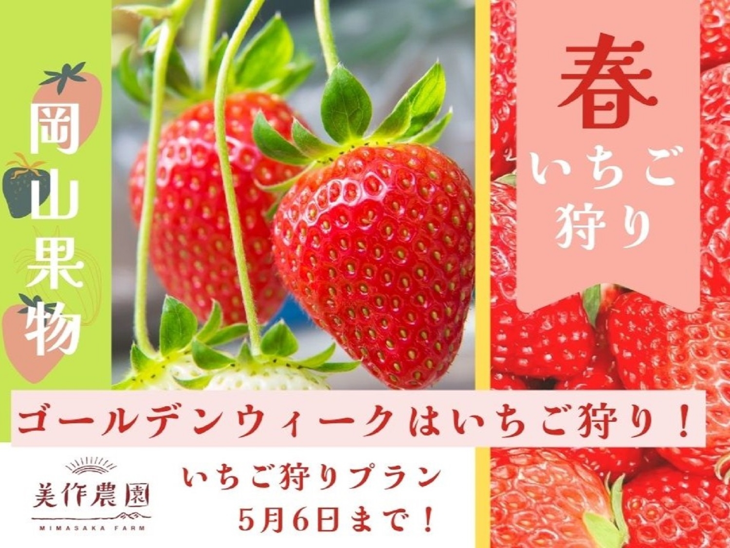 〓季節限定〓春旅＆女子旅にもおすすめ！岡山の旬の果物を堪能♪美作農園いちご狩り付プラン