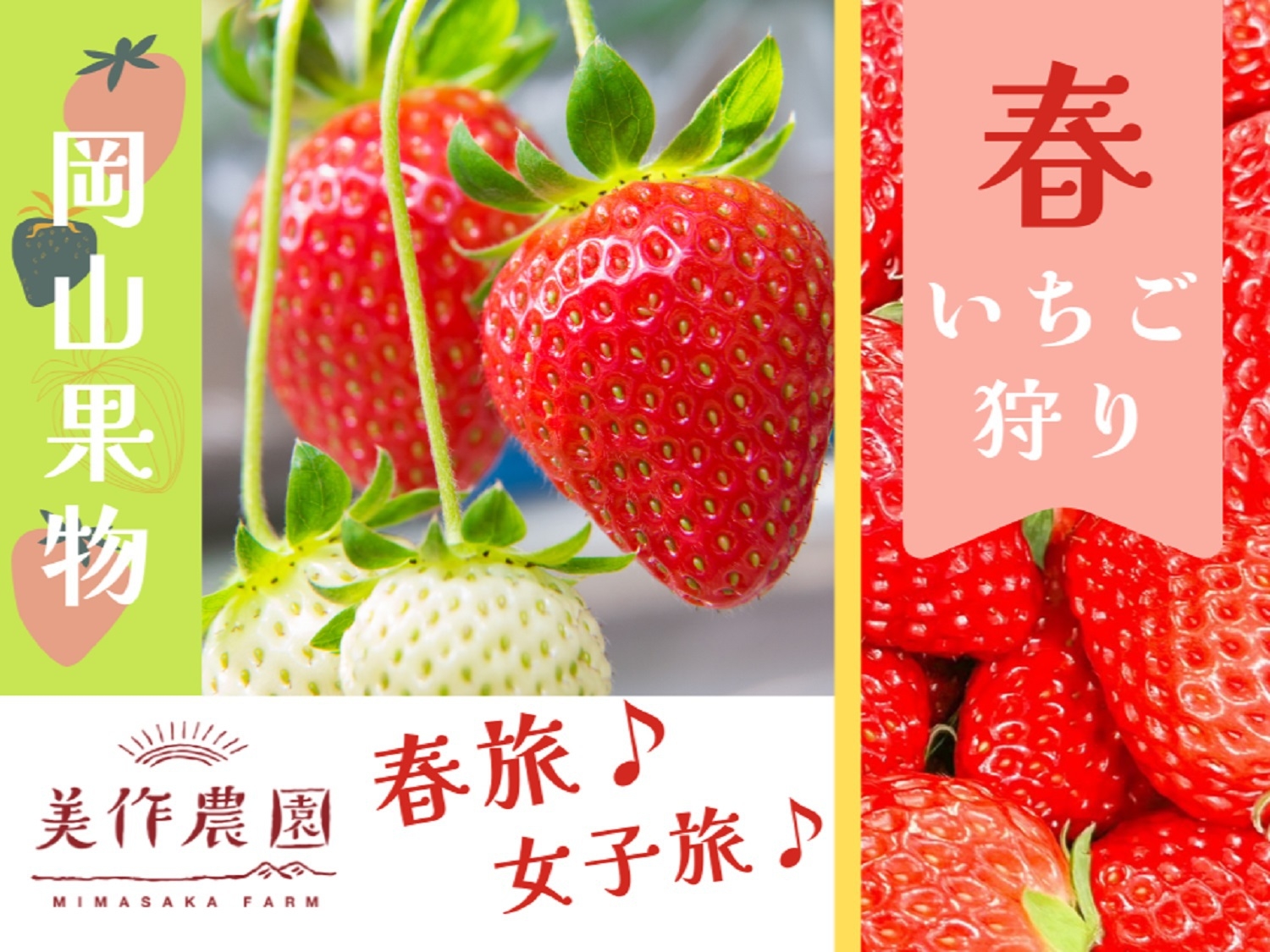 〓季節限定〓春旅＆女子旅にもおすすめ！岡山の旬の果物を堪能♪美作農園いちご狩り付プラン