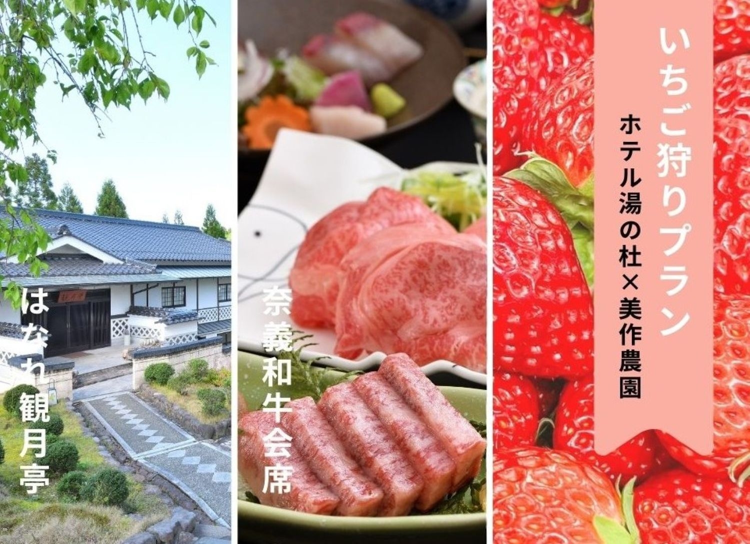 〓季節限定〓岡山の旬の果物を堪能♪はなれ観月亭：奈義和牛会席×美作農園：いちご狩り付プラン