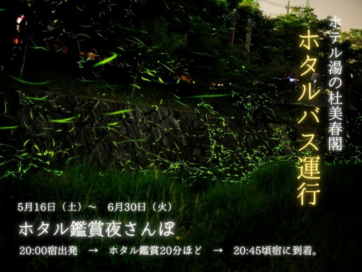 ホタルバスで夜さんぽしませんか。