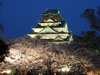 大阪城（天守閣）桜ライトアップ♪美しき大阪城！四季折々の風景なかでも西の丸庭園は梅林や桜が美しい。