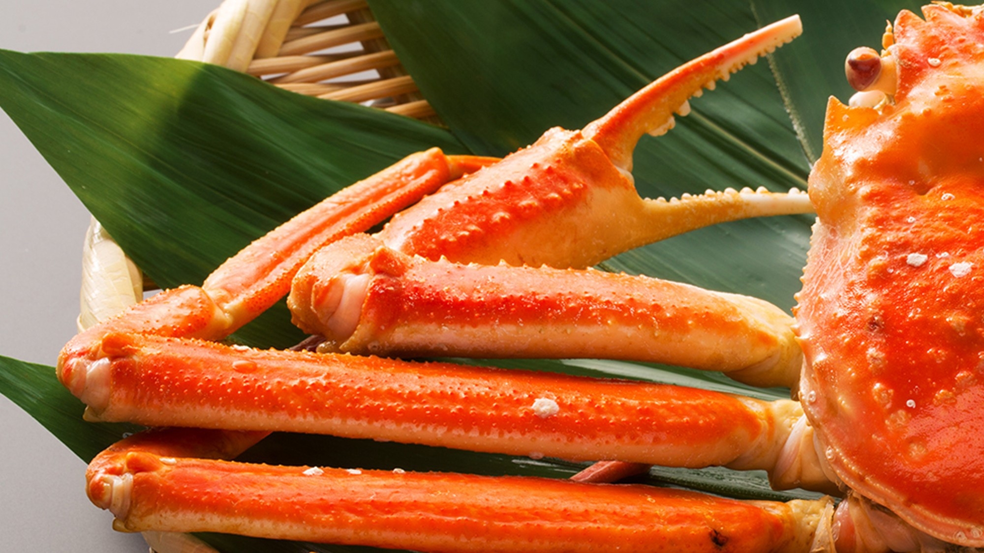 【近隣7県限定】「ガソリン券×ズワイ蟹×湯めぐり街歩き帖」3大人気特典で大満喫