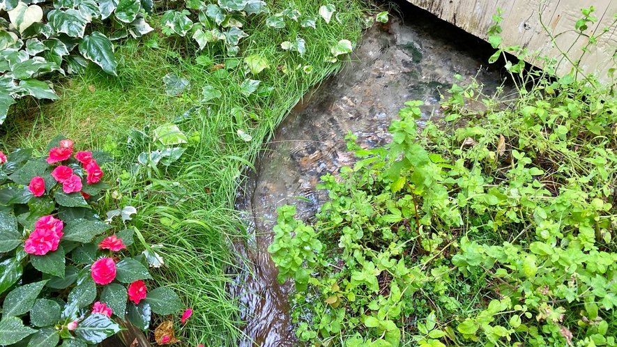 【貸切温泉風呂】白馬は姫川源流湧水や大出湧水群など、きれいな湧き水が豊富な上に空気も澄んでおります。