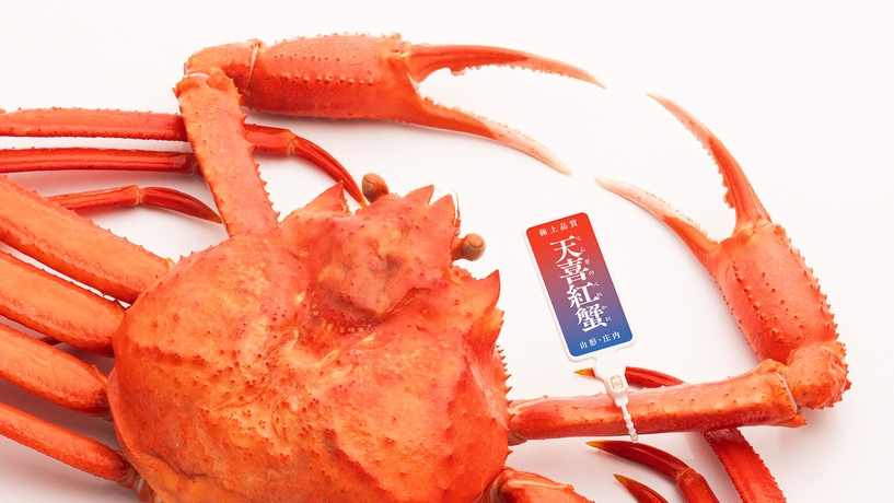 庄内・加茂港で揚がる紅ズワイガニを用いた旬彩懐石【天喜紅蟹膳】