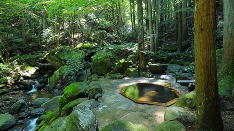 土湯別邸 里の湯(写真 2)