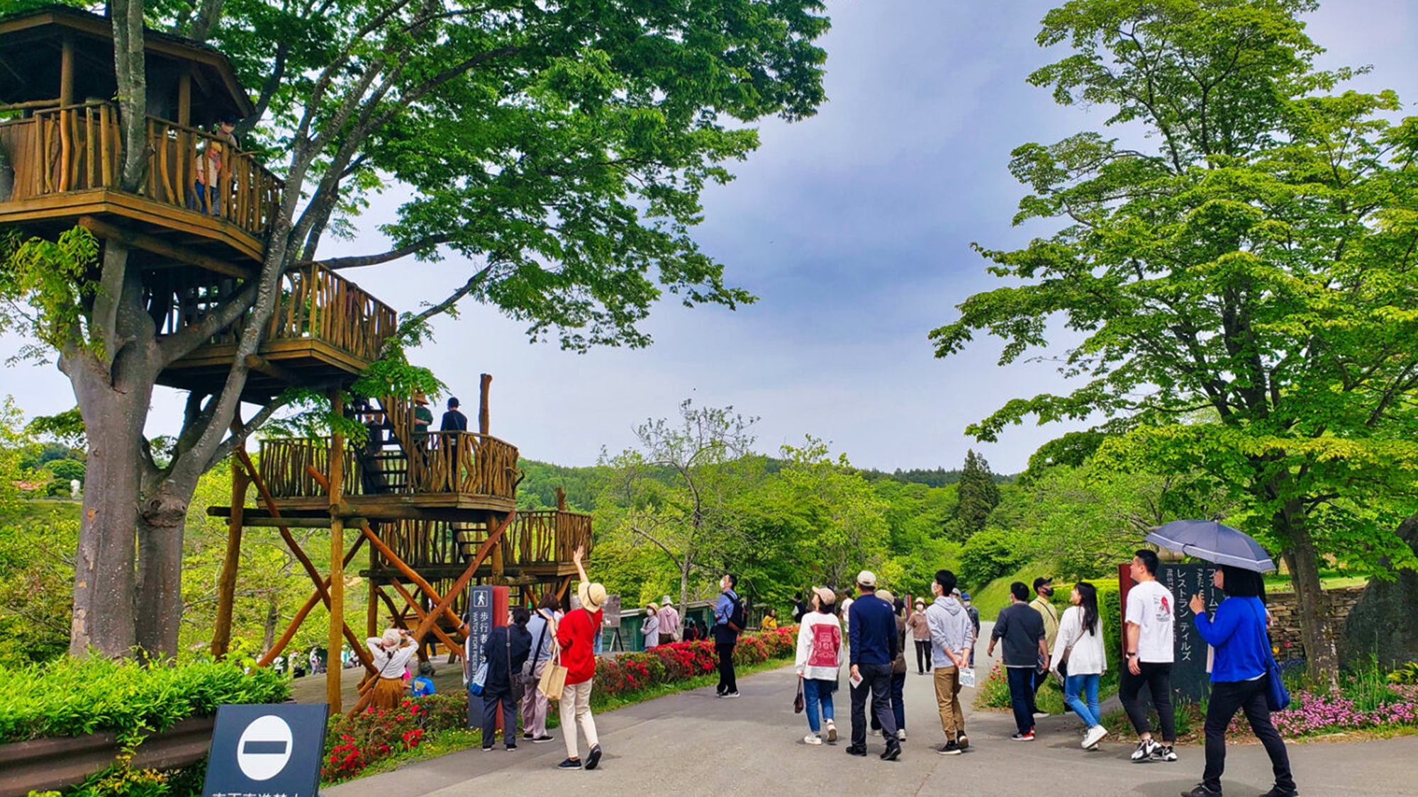 *Ark館ヶ森/大人にもこどもにも大人気「ツリーハウス ククノチ」