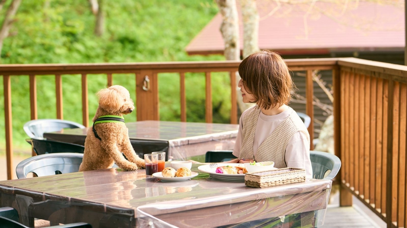 【愛犬も主役】ペットと泊まりたい8つの魅力とオールインクルーシブをご堪能（海鮮BBQ｜1泊2食）