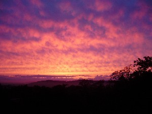 施設内から見える夕日