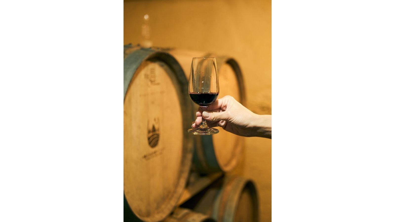 十勝まきばの家 ワイナリー