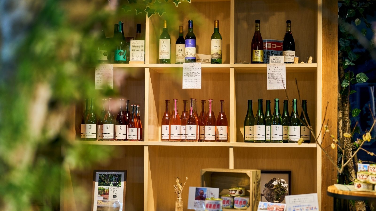 森のワイン ショップ