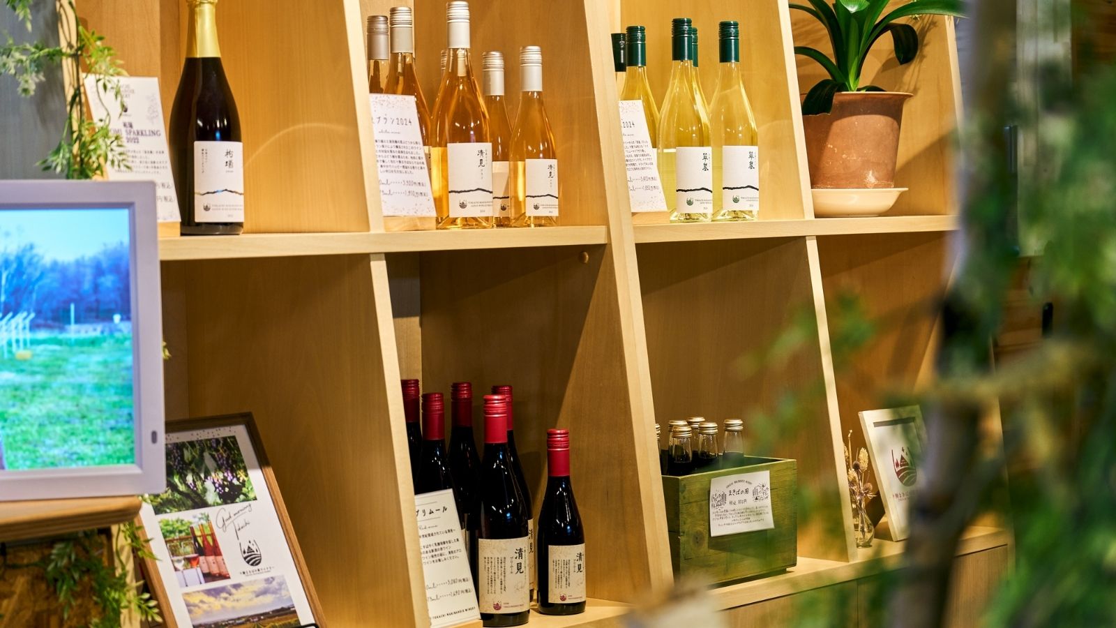 森のワイン ショップ