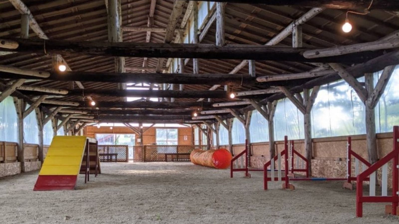 屋内ドッグラン