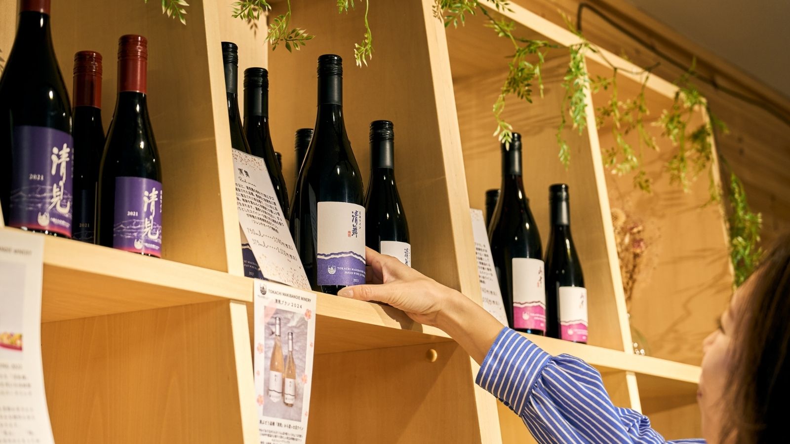 森のワイン ショップ