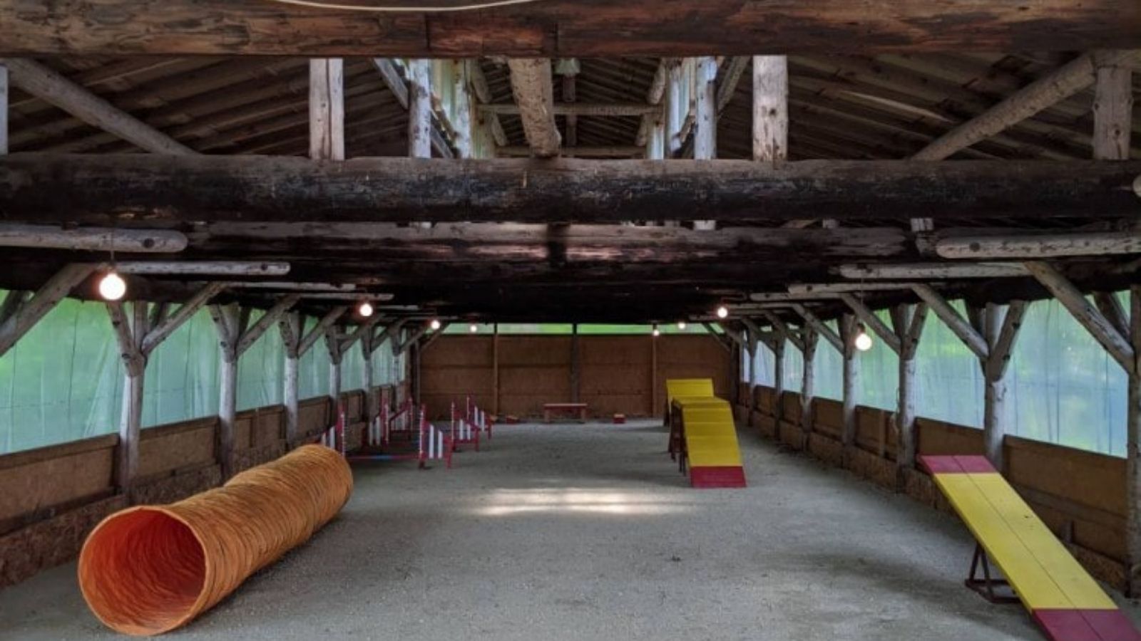 屋内ドッグラン