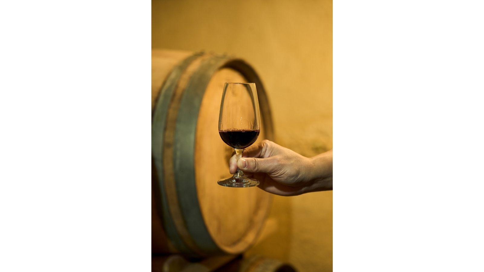 十勝まきばの家 ワイナリー