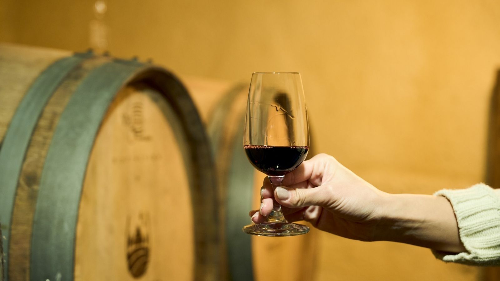 十勝まきばの家 ワイナリー